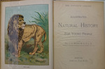 Illustrated Natural History for Young People by J. G. Wood Rev.