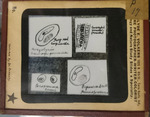 Bacteria drawings done through microscope by Dr. Donaghy
