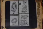 Bacteria drawings done through microscope by Dr. Donaghy