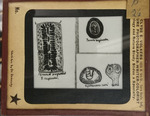 Bacteria drawings done through microscope by Dr. Donaghy