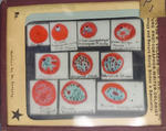 Bacteria drawings done through microscope by Dr. Donaghy