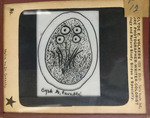 Bacteria drawings done through microscope by Dr. Donaghy