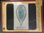 Bacteria drawings done through microscope by Dr. Donaghy