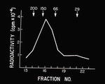 Graph and Illustration of Radioactivity by Hughes