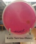 ISU Culture Experiment-Week 10 by Indiana State University