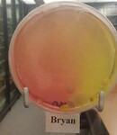 ISU Culture Experiment-Week 10 by Indiana State University