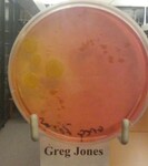 ISU Culture Experiment-Week 10 by Indiana State University