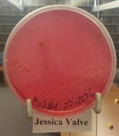 ISU Culture Experiment-Week 10 by Indiana State University