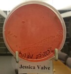 ISU Culture Experiment-Week 11 by Indiana State University