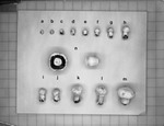 Mushroom growth board by William Flukey Dr.