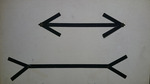 Pseudoptics: The Science of Optical Illusions by Hugo Munsterberg