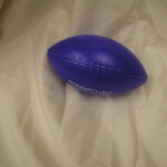 Current Sports Memorabilia by Indiana State University