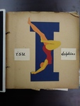 Dolphins Cover Scrapbook by Indiana State University