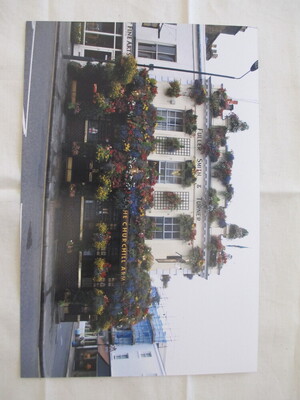 image preview