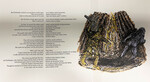 The Creation as the Maidu Told It (coyote with fire print) by Indiana State University