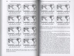 Global Urban Monitoring and Assessment Through Earth Observation - Page 240-241 by Rare Books and Manuscripts
