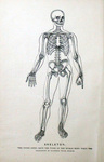 Lesson on the Human Body -- Frontispiece by Rare Books and Manuscripts