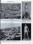 Mathew Brady: Historian With a Camera - Page 195 by Rare Books and Manuscripts
